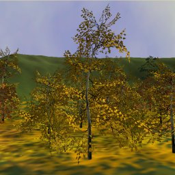 AutumnFoliage3D